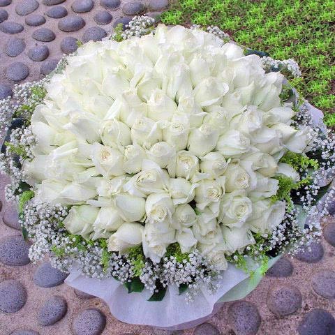 100 White Rose Bunch