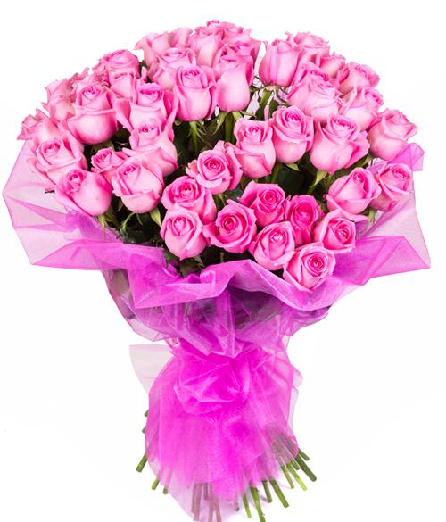 60 Pink Rose Bunch